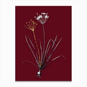Vintage Allium Straitum Black and White Gold Leaf Floral Art on Burgundy Red n.0324 Canvas Print