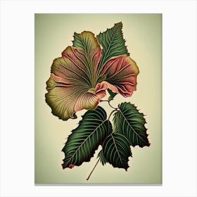 Hibiscus Leaf Vintage Botanical 1 Canvas Print