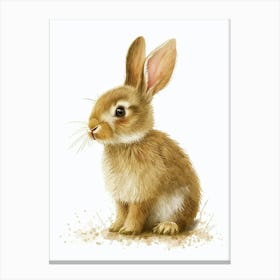 Britannia Petite Rabbit Nursery Illustration 3 Canvas Print