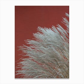 Grasses In The Wind Terracotta Canvas Print