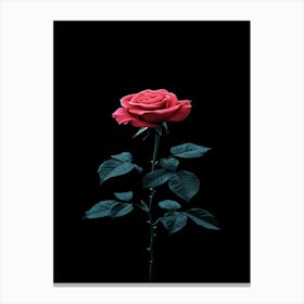 Black Rose 10 Canvas Print