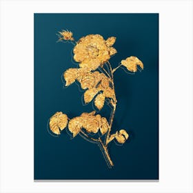Vintage Vintage Rose Botanical in Gold on Teal Blue n.0115 Canvas Print