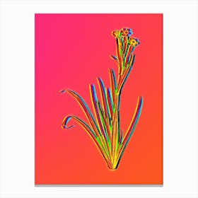 Neon Bermudiana Botanical in Hot Pink and Electric Blue n.0600 Canvas Print