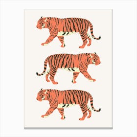 Three Tigers 1 Canvas Print