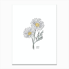 April Daisy Birth Flower 1 Canvas Print