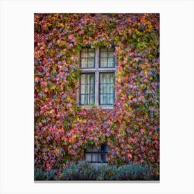 Autumn Windows Canvas Print