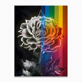 Rainbow Rose 1 Canvas Print