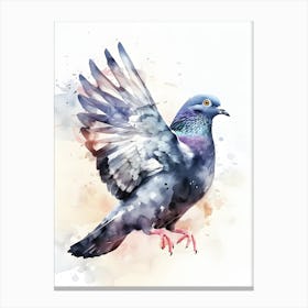 Pigeon Watercolor Painting Canvas Print