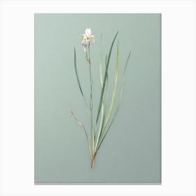 Vintage Siberian Iris Botanical Art on Mint Green Canvas Print