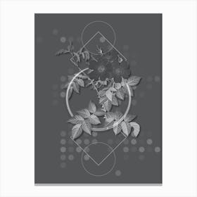 Vintage White Rosebush Botanical with Line Motif and Dot Pattern in Ghost Gray n.0028 Canvas Print
