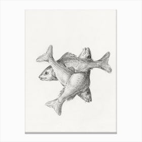 Three Fishes, Jean Bernard Canvas Print