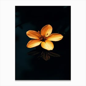 Lily Flower Canvas Print