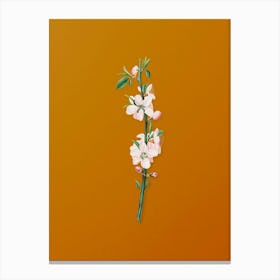 Vintage Peach Flower Botanical on Sunset Orange n.0025 Canvas Print