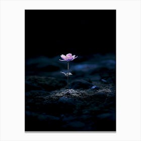 Lotus Flower In The Dark 1 Canvas Print