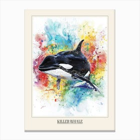 Killer Whale Colourful Watercolour 1 Poster Canvas Print