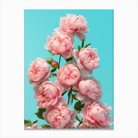 Peonies on Blue 02 Canvas Print