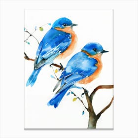 Bluebirds Canvas Print