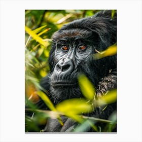 Rwanda Mountain Gorilla Canvas Print