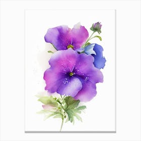 Wild Petunia Wildflower Watercolour Canvas Print
