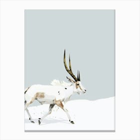 Antelope 20 Canvas Print