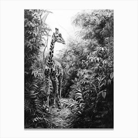 Pencil Portrait Of Giraffe In The Leaves 2 Canvas Print