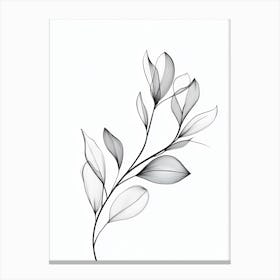 Black And White Drawing Of Leaves 1 Canvas Print