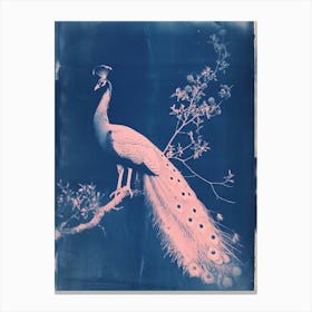 Peacock In The Tree Cyanotype Inspired 5 Canvas Print