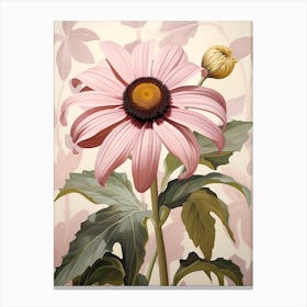 Floral Illustration Black Eyed Susan 2 Canvas Print