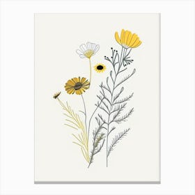 Chamomile Spices And Herbs Minimal Line Drawing 1 Canvas Print