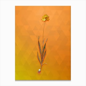 Vintage Orange Ixia Botanical Art on Tangelo n.0742 Canvas Print