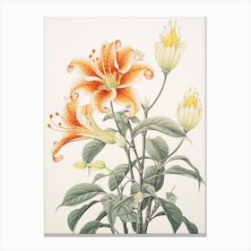 Himeyuri Okinawan Lily 2 Vintage Japanese Botanical Canvas Print