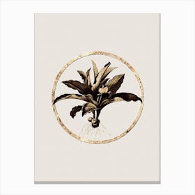 Gold Ring Kaempferia Angustifolia Glitter Botanical Illustration n.0162 Canvas Print