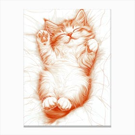 Kitty Cat Canvas Print