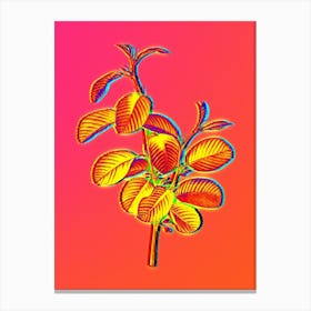 Neon Alpine Buckthorn Plant Botanical in Hot Pink and Electric Blue Canvas Print