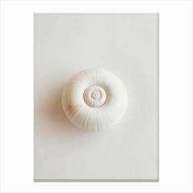 Shell On A White Surface Canvas Print