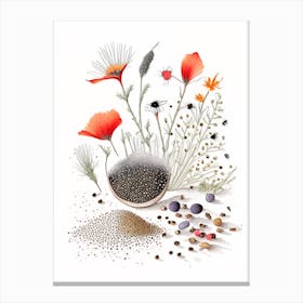 Poppy Seeds Spices And Herbs Pencil Illustration 2 Canvas Print