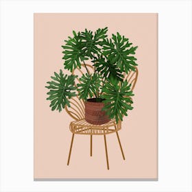 Philodendron Xanadu On A Chair Canvas Print