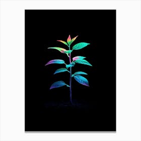 Plant In The Dark 32 Canvas Print