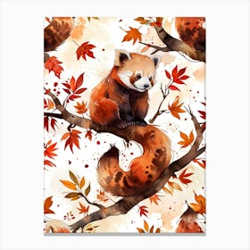 Red Panda 2 Canvas Print