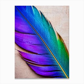 Multicolored Bird Feather Fusing Shades Of Blue Yellow Red Purple Pink Green Cast Against A N Canvas Print