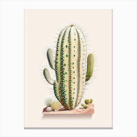 Notocactus Cactus Marker Art 2 Canvas Print