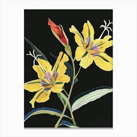 Neon Flowers On Black Evening Primrose 4 Canvas Print