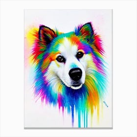 American Eskimo Dog Rainbow Oil Painting dog Canvas Print