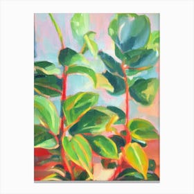 Prayer Plant Impressionist Painting Canvas Print