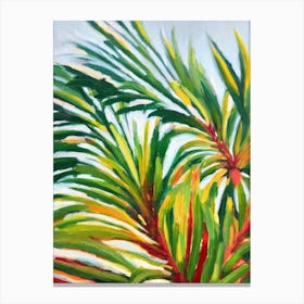 Norfolk Island Pine 3 Impressionist Painting Plant Canvas Print