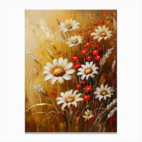 Daisies In The Meadow 11 Canvas Print