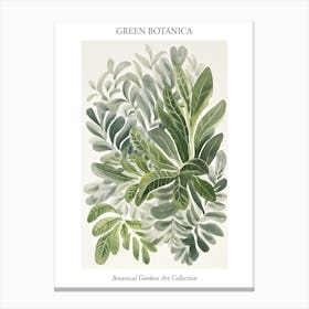 Green Botanica Collection 2 Canvas Print