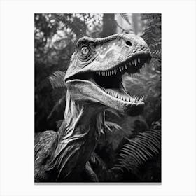 Black And White Photograph Of A Velociraptor 2 Canvas Print