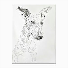 Ibizan Hound Dog Line Sketch  2 Canvas Print