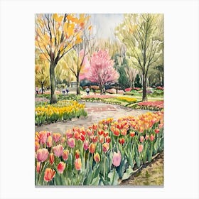 Tulips In Bloom 9 Canvas Print